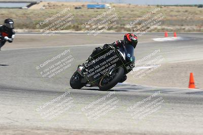 media/Aug-03-2024-TrackDaz (Sat) [[30bed884ff]]/C Group/1240pm (Grapevine)/